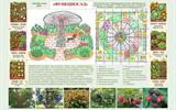 Современный огород Функциосад